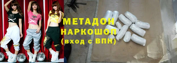 шишки Каменногорск