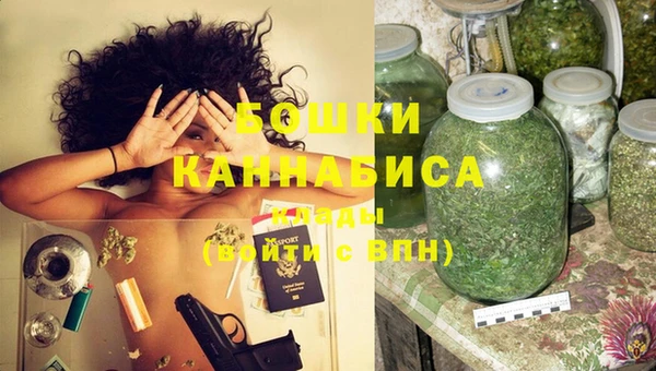 шишки Каменногорск
