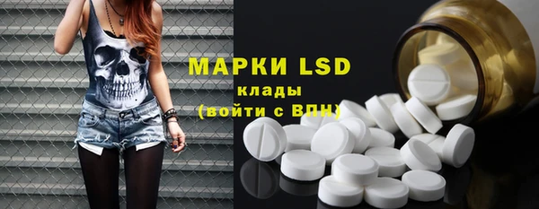 винт Каменка