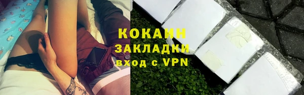 винт Каменка