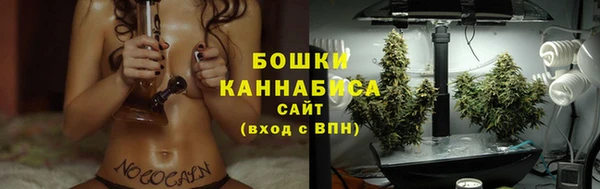 винт Каменка
