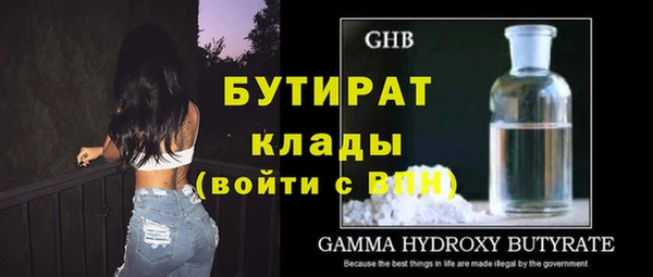 шишки Каменногорск