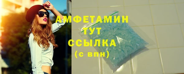 шишки Каменногорск