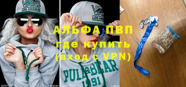 шишки Каменногорск