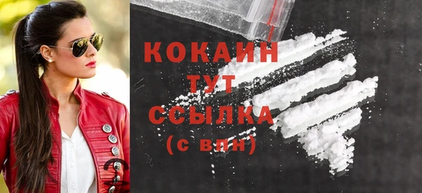 шишки Каменногорск