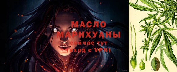 шишки Каменногорск