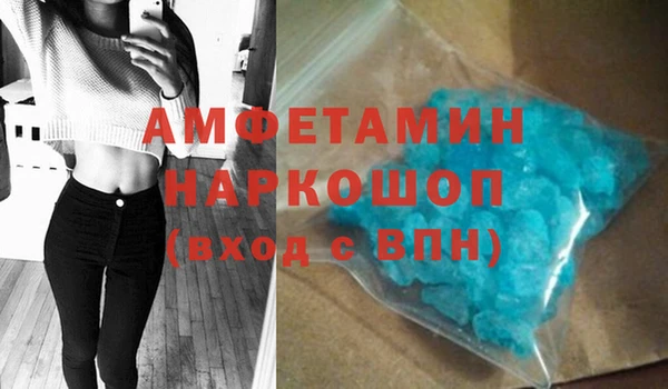 шишки Каменногорск