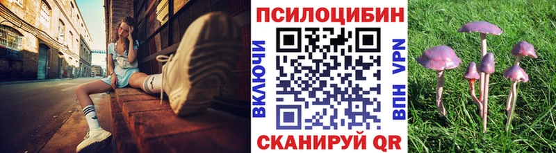 Купить  Полевской  Псилоцибиновые грибы ЛСД 